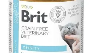 BRIT Vetrinary Diet Obesity Lamb&amp;Pea pisici cu greutate excesiva 200 g hrana umeda
