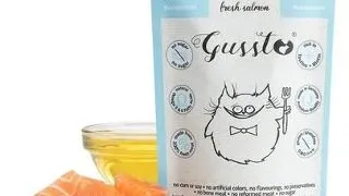 GUSSTO Cat Fresh Salmon hrana cu somon, pisici 24x85 g