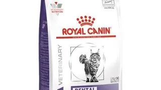 ROYAL CANIN Cat Dental 3 kg hrana dietetica pentru pisici cu risc de dezvoltare a tartrului sau dupa indepartarea tartrului