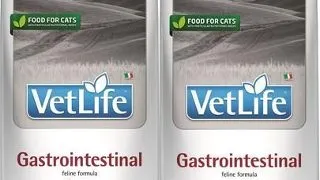 FARMINA Vet Life Cat Gastrointestinal 2x5 kg hrana pisici cu afectiuni digestive