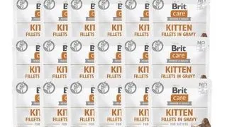 BRIT CARE Fillets in Gravy Pouch Kitten Savory Salmon 24x85g Hrana umeda pisoi, cu somon in sos