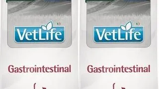FARMINA Vet life Gastrointestinal Cat hrana uscata pisici cu probleme de stomac 2 x 2 kg