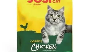 JOSERA JosiCat Crunchy Chicken 10kg carne de pasare pentru pisici adulte