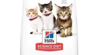 HILL'S Science Plan Hrana uscata cu pui pentru pisici junior 7kg