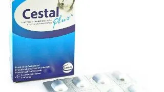 Cestal Plus Caine, 1 tableta