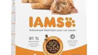 IAMS for Vitality Hrana uscata pentru pisoi, cu pui 10 kg