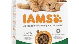 IAMS for Vitality pentru pisici adulte, cu miel 3 kg