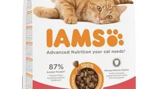 IAMS for Vitality pentru pisici adulte, cu somon 3 kg
