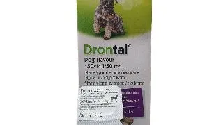 Drontal Caine, 1 tableta