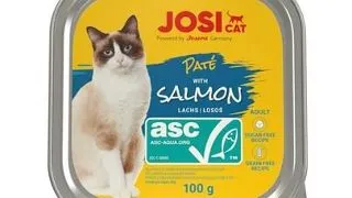 JOSERA JosiCat Pate de somon pentru pisici 100g
