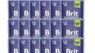 BRIT Premium Cat  Fillets in Jelly pastrav in aspic 24x85 g hrana pisica