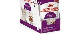 ROYAL CANIN Sensory Feel Gravy hrana umeda pentru pisici, in sos 48x85 g