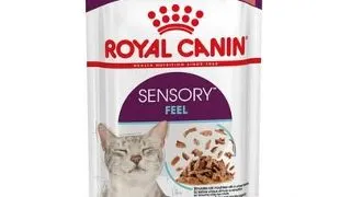 ROYAL CANIN Sensory Feel gravy 24x85 g bucati de sos pentru pisici adulte pentru a stimula perceptia texturii