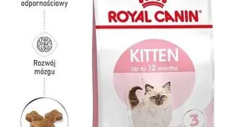 ROYAL CANIN Kitten 3 x 400 g hrana uscata pentru pisoi de la varsta de 4 la 12 luni
