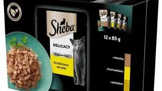 SHEBA Delicacy in Jelly Set hrana umeda pentru pisici adulte, cu carne de pasare in aspic 12 x 85g