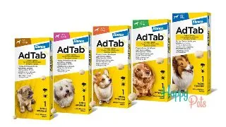 AdTab Caine, 1 tableta antiparazitara