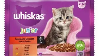 Whiskas Junior hrana umeda pentru pisici junioare, selectii clasice in sos de carne 4x85g