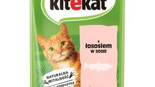 KITEKAT Somon in sos 85 g hrana pisici adulte