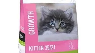ARION Original Cat Kitten 2 kg hrana pentru pisoi, fara gluten