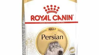 Royal Canin Persian Adult hrana uscata pisica 2kg 2kg