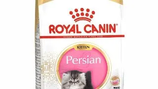 Royal Canin Persian Kitten hrana uscata pisica junior 2kg 2kg