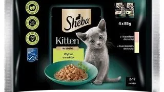 SHEBA Kitten 20x85 g hrana pentru pisoi, cu somon si pui in sos