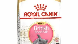 Royal Canin British Shorthair Kitten hrana uscata pisica junior 2kg