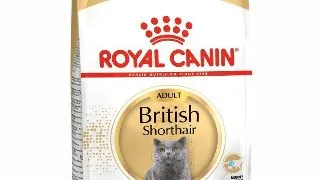 Royal Canin British Shorthair Adult hrana uscata pisica 2kg