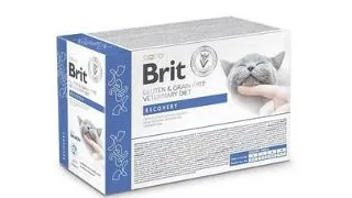 BRIT Veterinary Diet Grain Free Recovery fileuri in sos cu somon pentru pisici, 12x85g