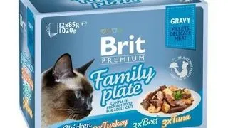 BRIT Premium by Nature pisici fileuri in sos Family Plate 12x85g