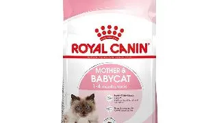 Royal Canin Mother & BabyCat hrana uscata pisica, mama si puiul 4kg