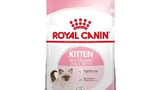 Royal Canin Kitten hrana uscata pisica junior 10kg