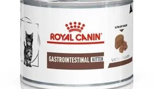 ROYAL CANIN Kitten Gastro Intestinal Digest 6x195 g mousse hrana pisoi