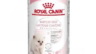 Lapte praf pentru pisici Royal Canin, Babycat Milk, 300g