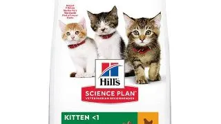 Hrana Uscata Pisici HILL'S SP Feline Kitten Chicken 1.5kg