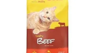 JOSERA JosiCat Tasty Beef 650g Hrana uscata pisici adulte, cu vita