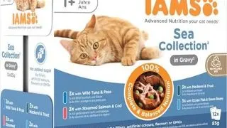 IAMS Cat Delights Adult All Breeds Sea In Jelly Pouch plic pisici 12x85 g in aspic