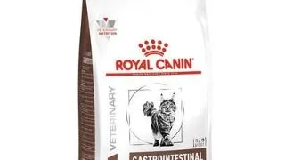 ROYAL CANIN Cat Gastro Intestinal 2x400g dieta pentru pisici
