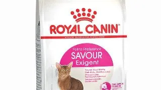 Royal Canin Exigent Savour Adult hrana uscata pisica, apetit capricios 10kg