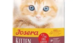 JOSERA Kitten hrana pisoi si pisici gestante/care alapteaza 10 kg + 1kg gratis