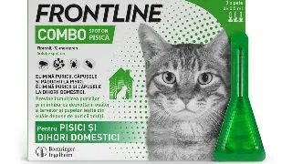 Frontline Combo Pisica, 3 pipete