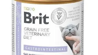 BRIT Veterinary Diet Gastrointestinal Salmon&amp;Pea pentru pisici cu sistem digestiv sensibil, hrana dietetica 200 g