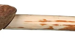 Bat Pentru Colivie, Cu Hranitor, 25 cm/18 mm