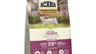 ACANA Highest Protein Kitten 1,8 kg hrana pisoi