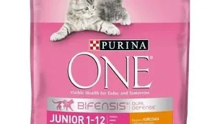 PURINA ONE JUNIOR Hrana uscata pentru pisici junior, bogata in pui 800 g