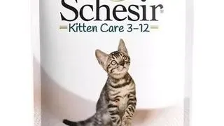 SCHESIR Hrana umeda pentru pisoi, cu file de pui, 85 g