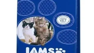 IAMS ProActive Health Adult &amp; Mature &amp; Senior hrana uscata pisici adulte/senior, cu pui si somon 15 kg