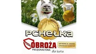 PCHEŁKA Zgarda cu clopotel pentru pisici 30 cm
