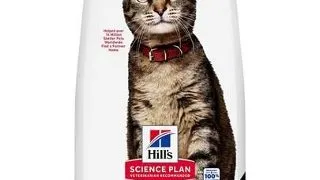 Hrana uscata pisici adulte somon HILL'S Science Plan 10 kg