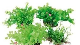 ZOLUX Aerator Aeroplant 17cm diverse culori